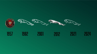 WWF'den çağrı var: Jaguar'ı kurtar, sadece logoyu değil!