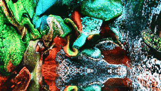 Türk Hava Yolları’nın Refik Anadol ile hazırladığı “Inner Portrait” eseri AKM’de sergilenecek