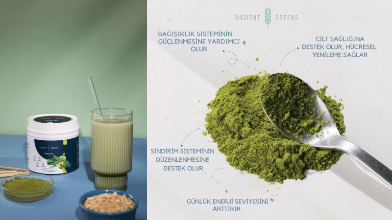 Doğanın gücünden ilhamla geleceğe yatırım: Ancient Greens Doğanın gücünden ilhamla geleceğe yatırım: Ancient Greens
