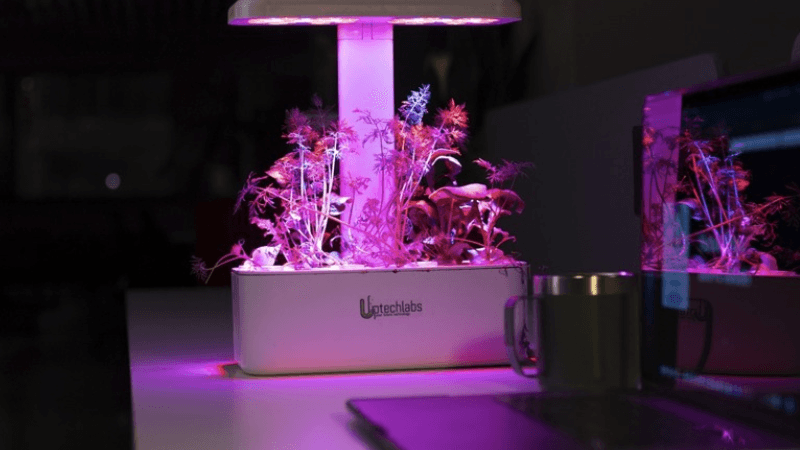 Uptechlabs ile daha az su, daha fazla verim Uptechlabs ile daha az su, daha fazla verim