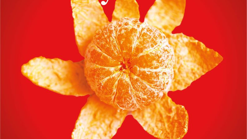 Pazarlamanın evrimi ve CMO’ların yeni rolü Pazarlamanın evrimi ve CMO’ların yeni rolü