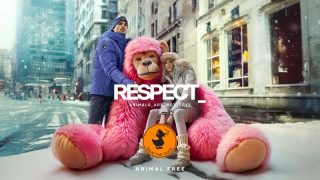 Türkiye pazarında yeni oyuncu: Save The Duck!