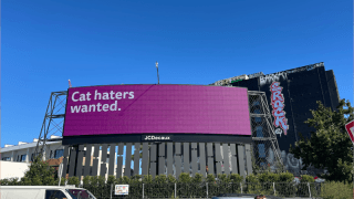 Whiskas "kedi düşmanlarını" arıyor!