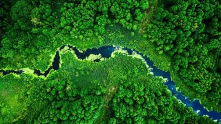 L’Oréal’den STK'lara dev destek: 200 milyon euro’luk fon erişime açıldı