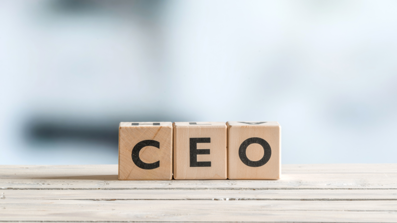Türk CEO'ların risk algısı, küresel meslektaşlarına kıyasla daha yüksek Türk CEO'ların risk algısı, küresel meslektaşlarına kıyasla daha yüksek