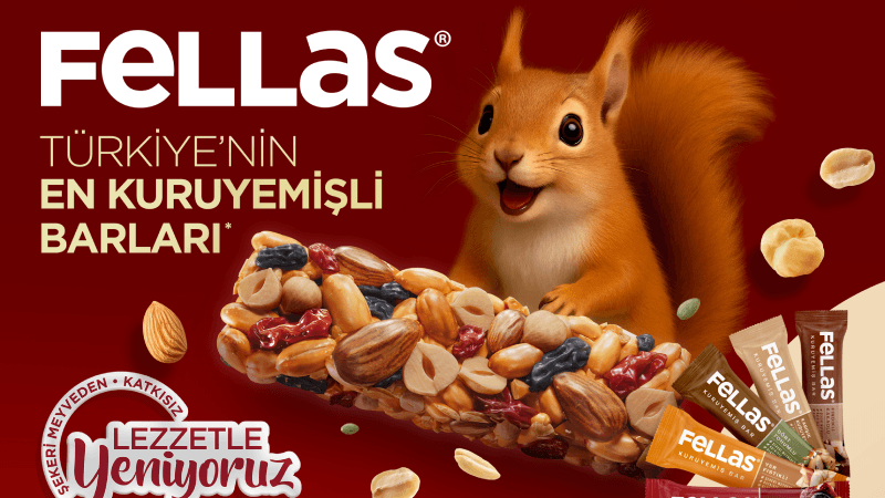 Sincaplar neden şehre indi? Sincaplar neden şehre indi?