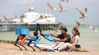 Robot köpekler sahilde teslimatta, pizzalar güvende...