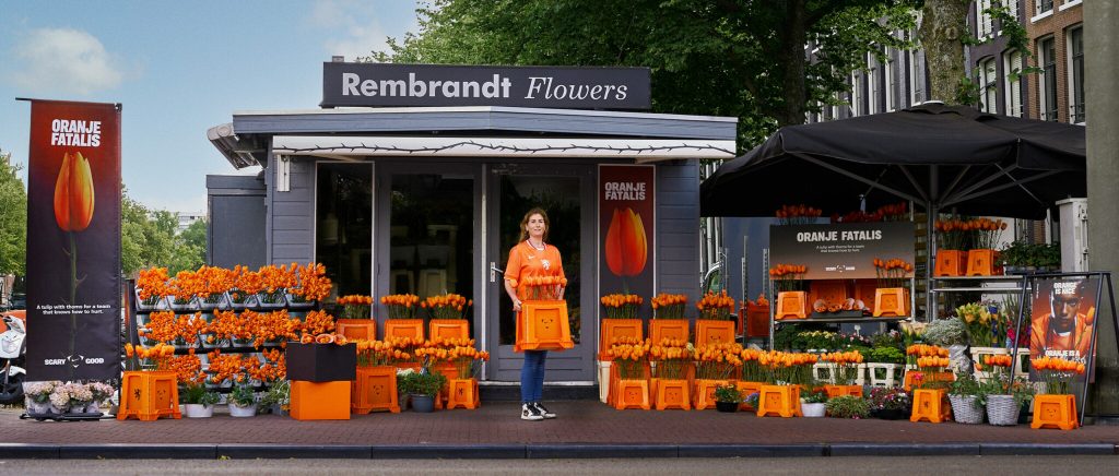 Bu dikenli laleler kazanmayı bilen bir takım için tasarlandı: Oranje Fatalis Bu dikenli laleler kazanmayı bilen bir takım için tasarlandı: Oranje Fatalis