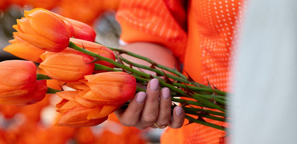 Bu dikenli laleler kazanmayı bilen bir takım için tasarlandı: Oranje Fatalis Bu dikenli laleler kazanmayı bilen bir takım için tasarlandı: Oranje Fatalis