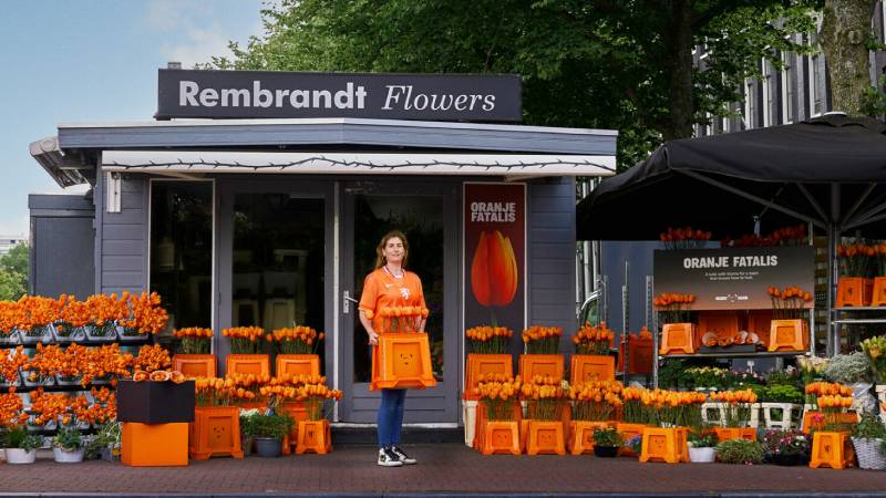 Bu dikenli laleler kazanmayı bilen bir takım için tasarlandı: Oranje Fatalis Bu dikenli laleler kazanmayı bilen bir takım için tasarlandı: Oranje Fatalis