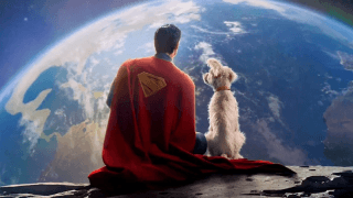 Superman sayesinde "köpek sahiplenme" aramaları yüzde 500 arttı