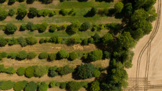 Ekolojik borç 22 yıla dayandı! 1,8 dünya varmış gibi tüketiyoruz...