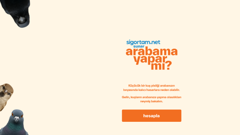 Sigortam.net, Türkiye’de bir ilke imza atarak “kuş pisliği haritası”nı yayımladı