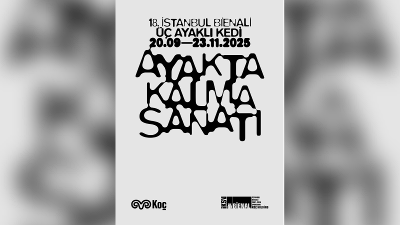 Kedilerin gözünden "ayakta kalma sanatı" Kedilerin gözünden "ayakta kalma sanatı"