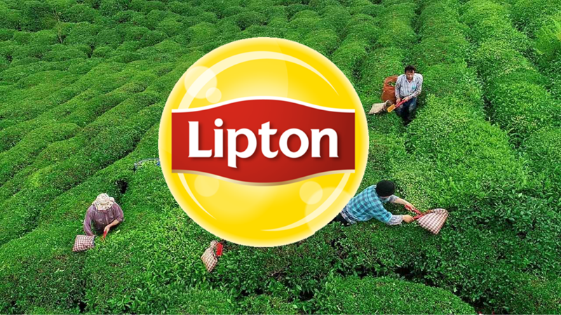 Lipton, 39 yıl sonra Türkiye’deki üretimini devretti Lipton, 39 yıl sonra Türkiye’deki üretimini devretti