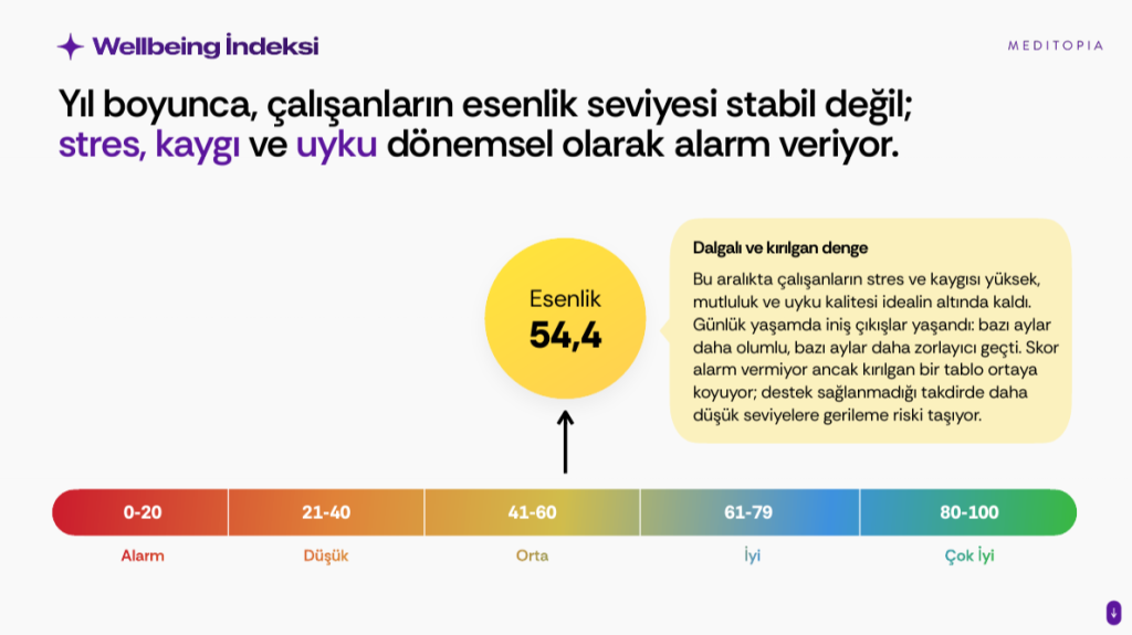 Türkiye’de çalışanların yüzde 93’ü duygusal dalgalanmalarının sebebi olarak iş hayatını görüyor Türkiye’de çalışanların yüzde 93’ü duygusal dalgalanmalarının sebebi olarak iş hayatını görüyor