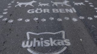 Şehirde yaşamı birlikte kurmak mümkün, yeter ki: "Gör Beni"