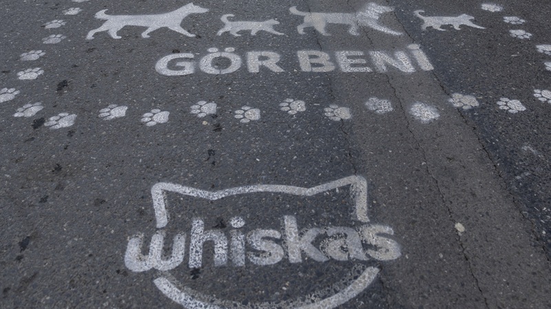 Şehirde yaşamı birlikte kurmak mümkün, yeter ki: "Gör Beni" Şehirde yaşamı birlikte kurmak mümkün, yeter ki: "Gör Beni"