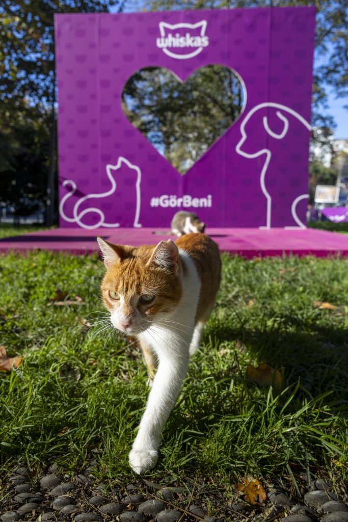 Şehirde yaşamı birlikte kurmak mümkün, yeter ki: "Gör Beni" Şehirde yaşamı birlikte kurmak mümkün, yeter ki: "Gör Beni"