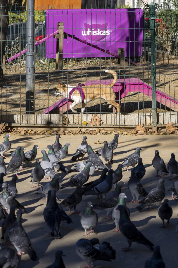 Şehirde yaşamı birlikte kurmak mümkün, yeter ki: "Gör Beni" Şehirde yaşamı birlikte kurmak mümkün, yeter ki: "Gör Beni"