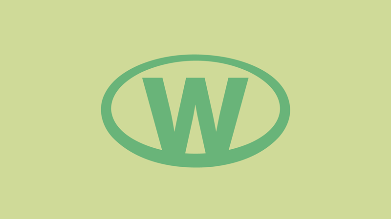 Reklam dünyasına yeni oyuncu: Wild İstanbul