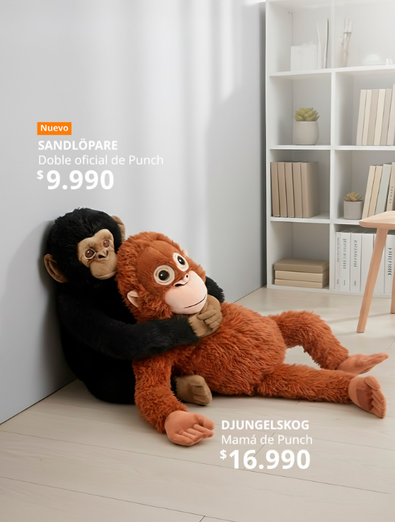 Terk edilmiş maymuna IKEA kucak açtı