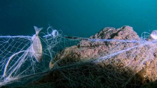 Mavi İz Projesi hayalet ağları sanatla görünür kıldı