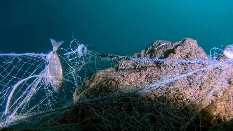 Mavi İz Projesi hayalet ağları sanatla görünür kıldı