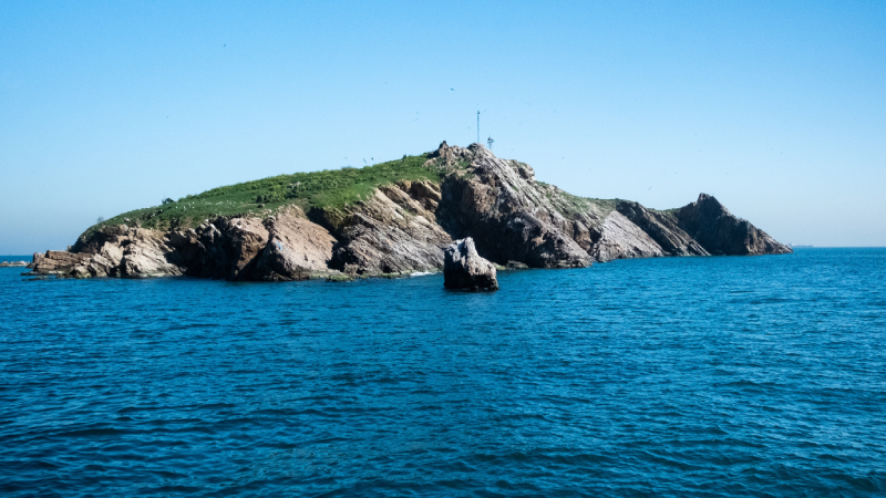 "Av değil yaşam alanı"