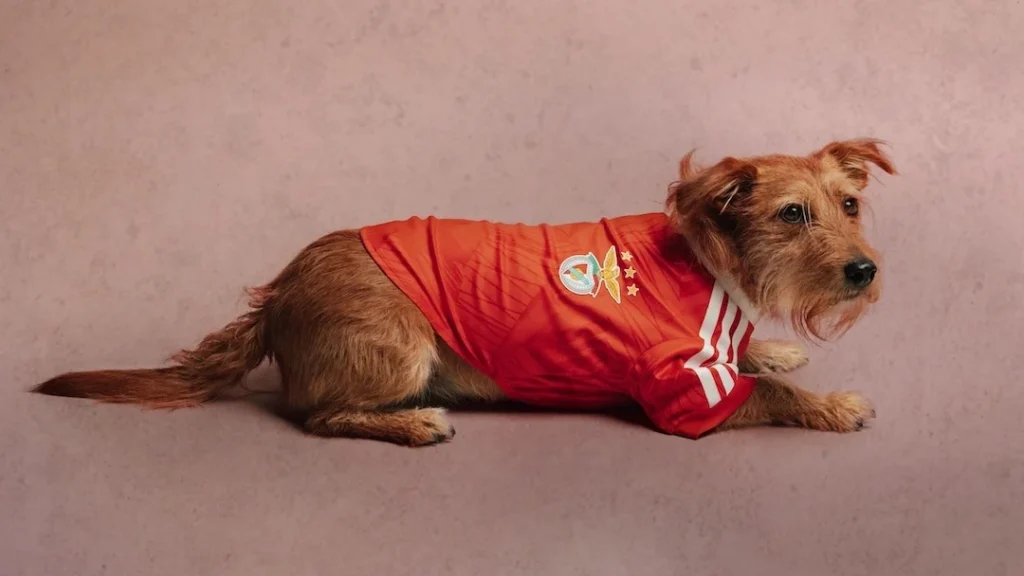 adidas’ın yeni kadrosunda "patili yıldızlar" var!