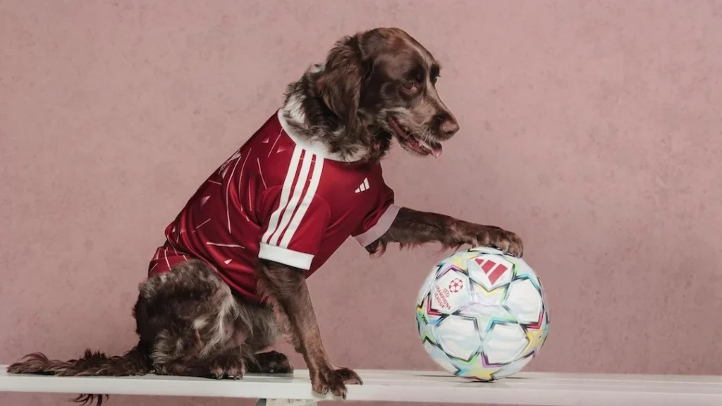 adidas’ın yeni kadrosunda "patili yıldızlar" var!
