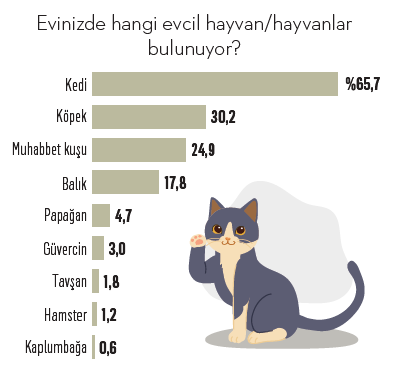 Pet ekonomisi tüketici kararlarını ve marka sadakatini baştan yazıyor Pet ekonomisi tüketici kararlarını ve marka sadakatini baştan yazıyor