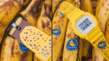 Casio, muzun olgunlaşma sürecini saate dönüştürdü